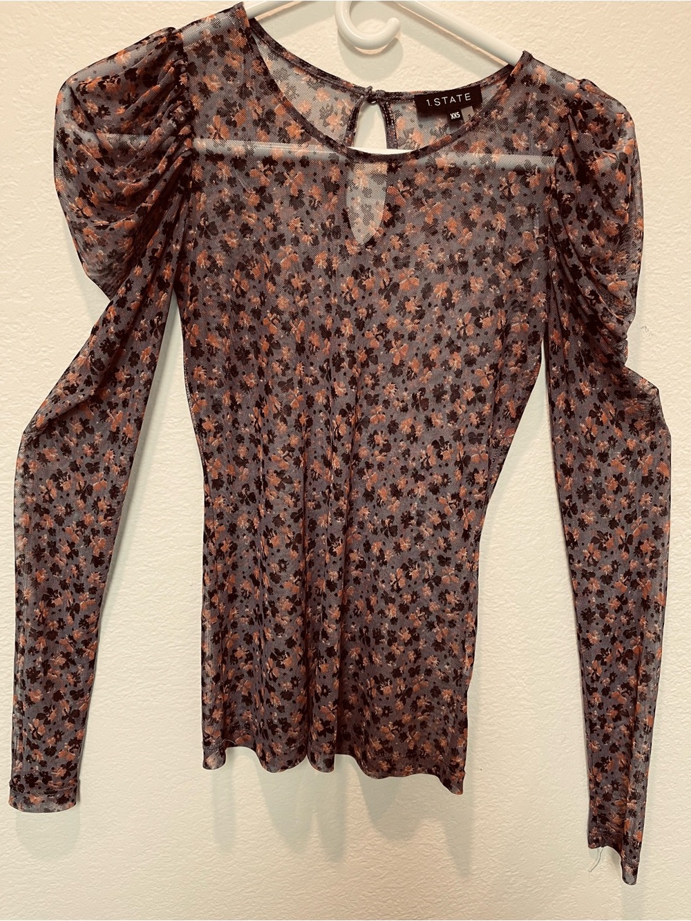 1. State Women's Sheer Mesh Floral Long Sleeve Top in Brown and Peach